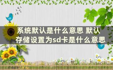 系统默认是什么意思 默认存储设置为sd卡是什么意思